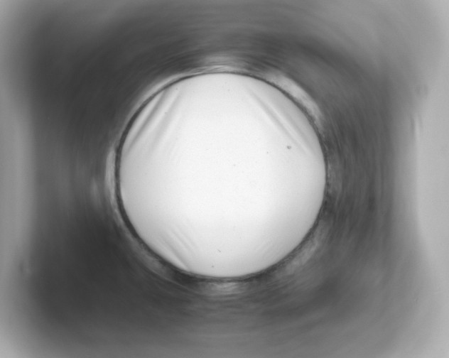X0000101101431200807241019