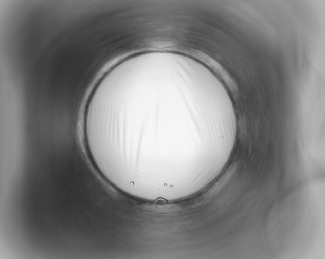 X0000101101432200807241019