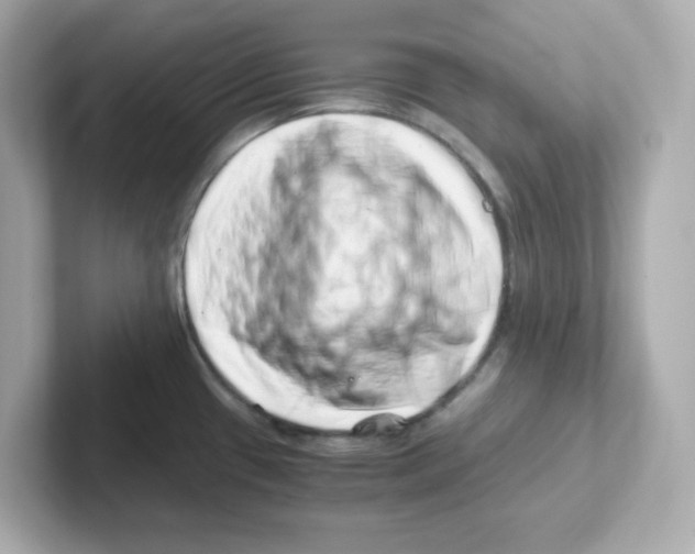 X0000101101433200807241019