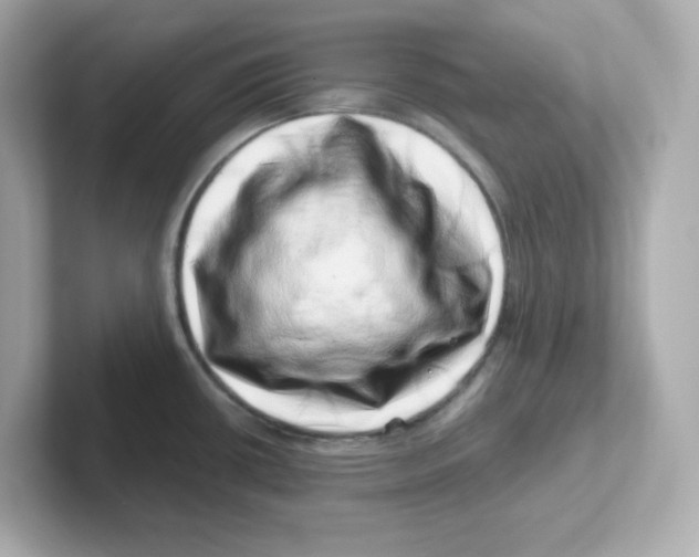 X0000101101434200807241019