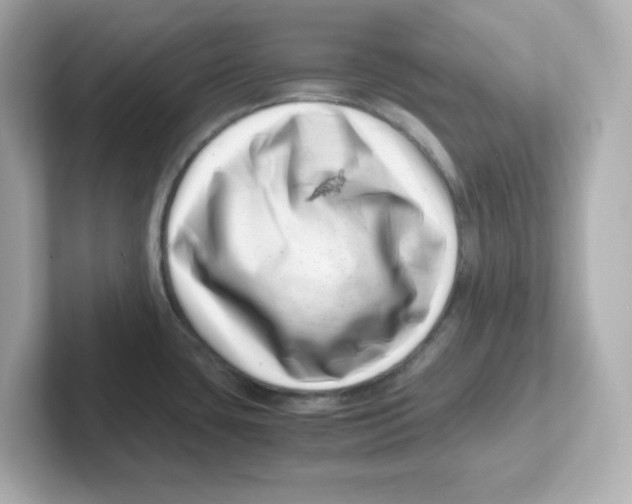 X0000101101435200807241019