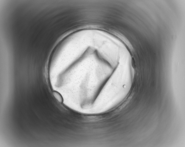 X0000101101436200807241019