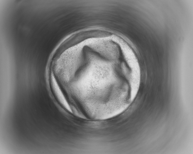 X0000101101438200807241019