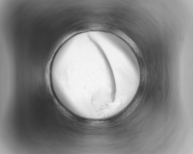 X0000101101439200807241019