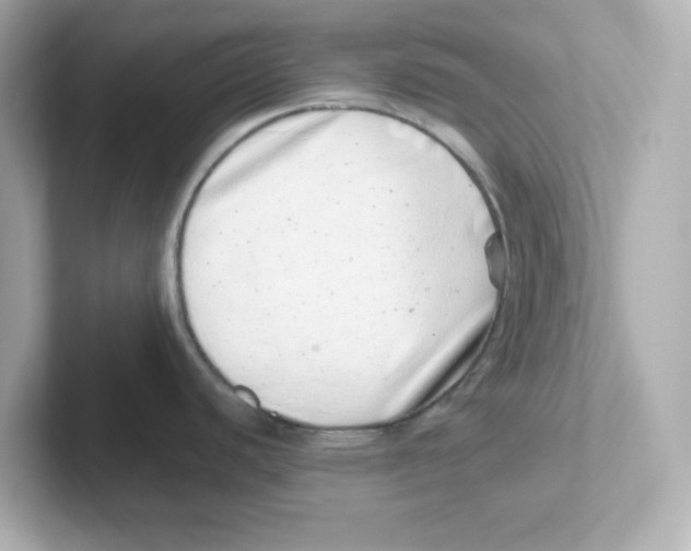 X0000101101440200807241019