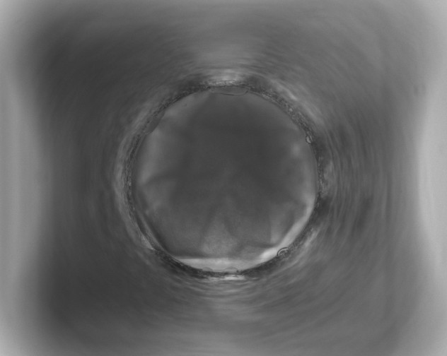 X0000101101441200807241018