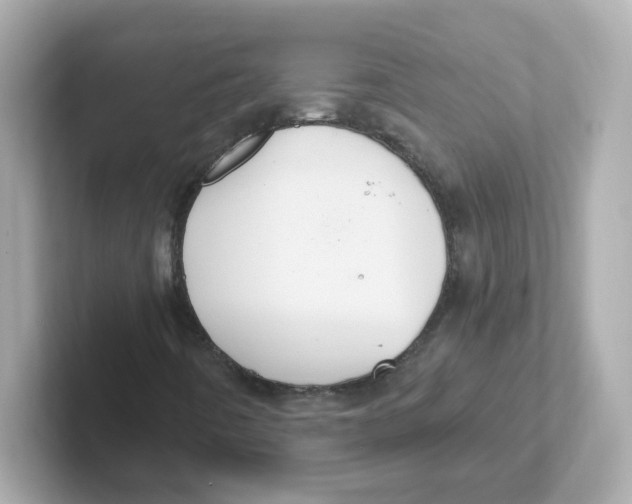 X0000101101442200807241018