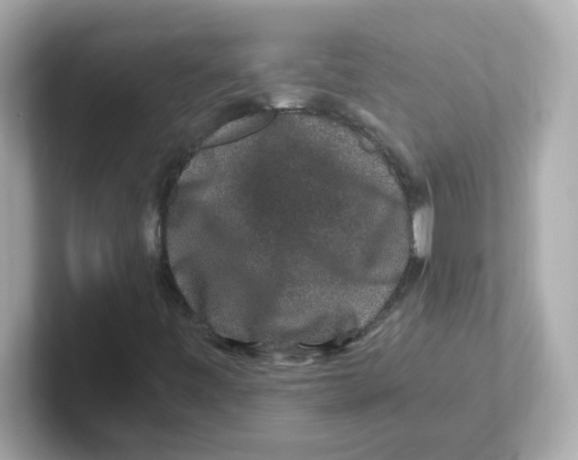 X0000101101443200807241018