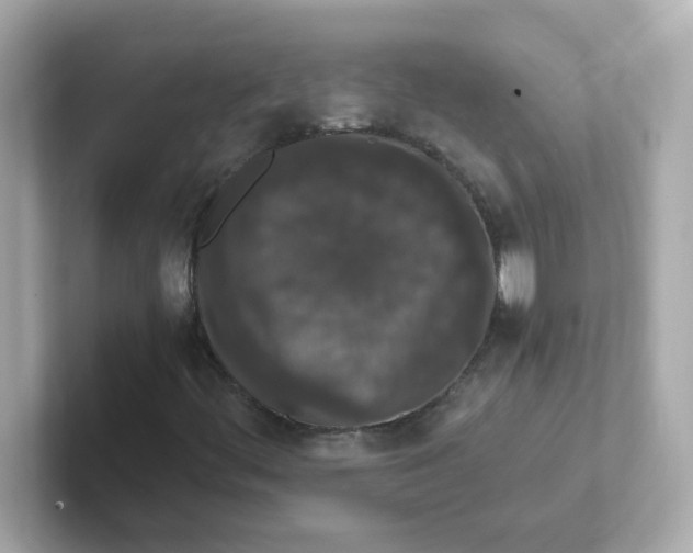 X0000101101444200807241018
