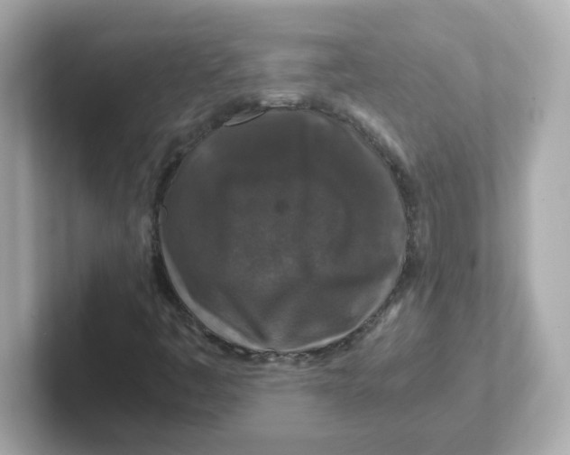 X0000101101445200807241018