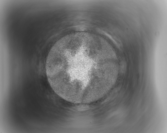 X0000101101446200807241018