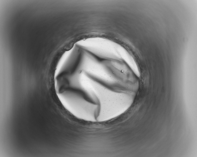 X0000101101448200807241018