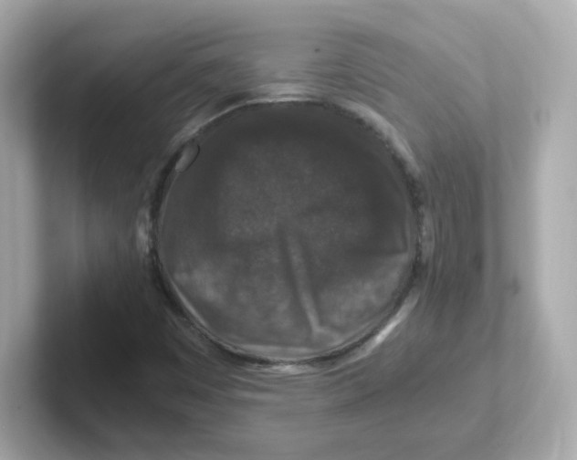 X0000101101449200807241018