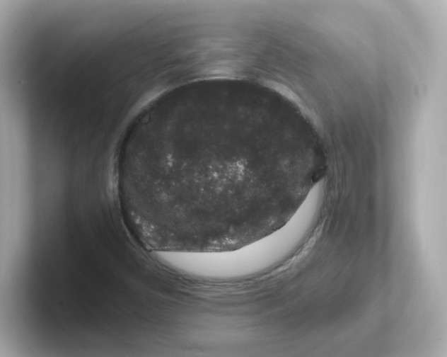 X0000101101450200807241018