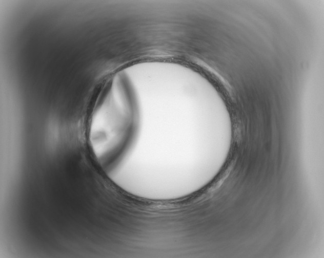 X0000101101451200807241018