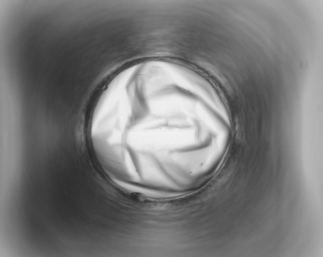 X0000101101452200807241018