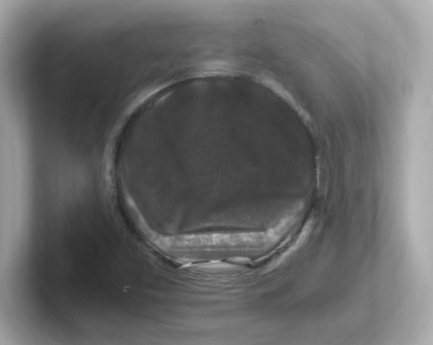 X0000101101453200807241018