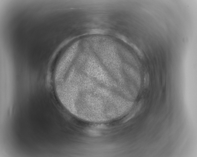 X0000101101454200807241018