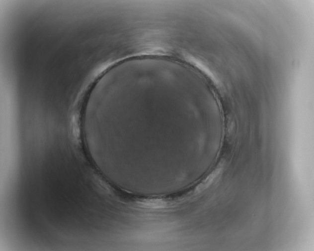X0000101101455200807241018