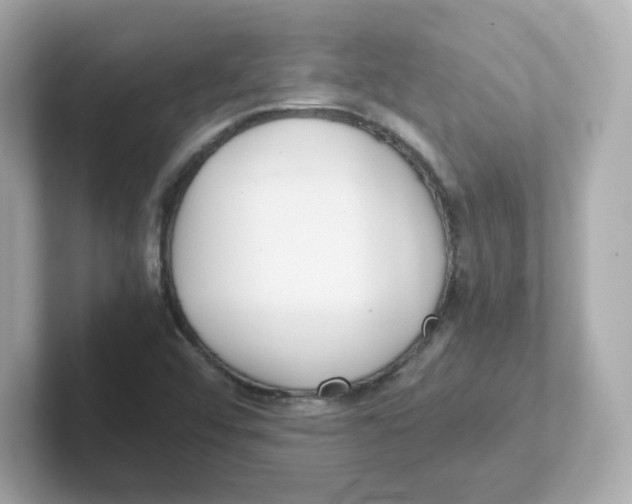 X0000101101456200807241018