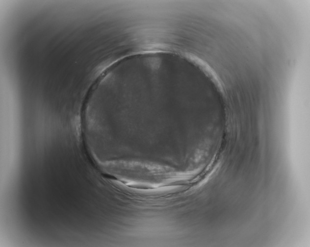 X0000101101457200807241018