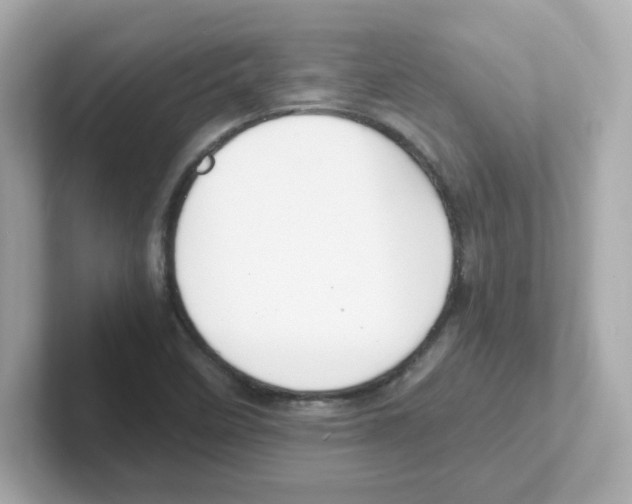 X0000101101458200807241018