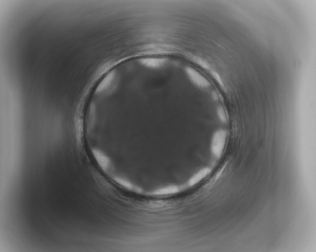 X0000101101459200807241018
