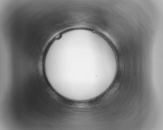 X0000101101460200807241018