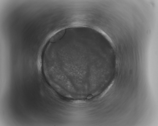 X0000101101461200807241018