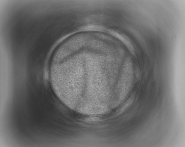 X0000101101462200807241018