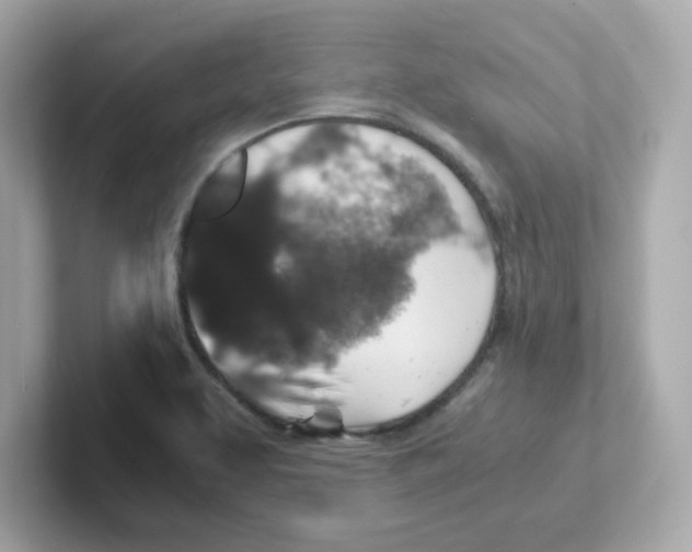 X0000101101463200807241018