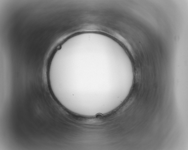X0000101101464200807241018