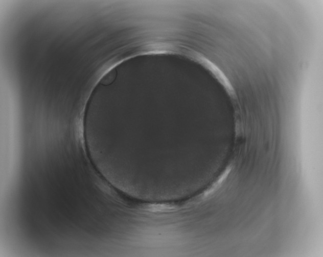 X0000101101465200807241018