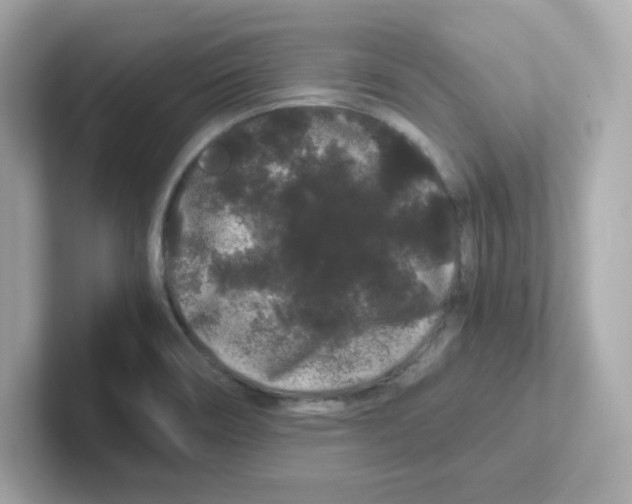 X0000101101466200807241018