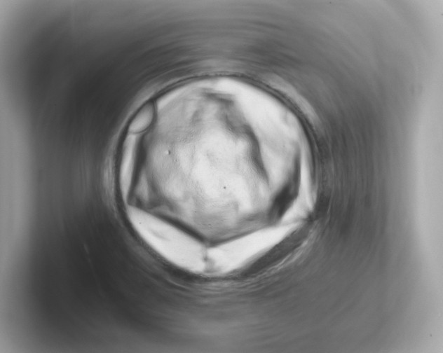 X0000101101467200807241018