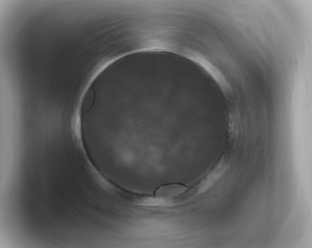 X0000101101468200807241018