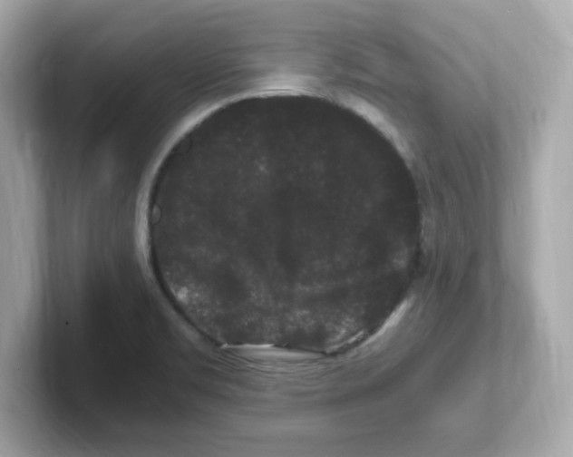X0000101101469200807241018