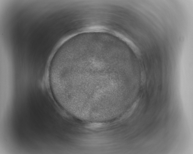 X0000101101470200807241018