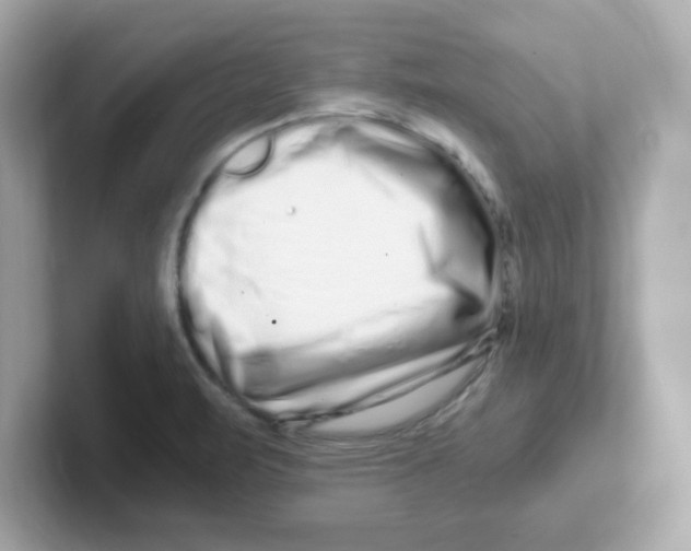 X0000101101471200807241018