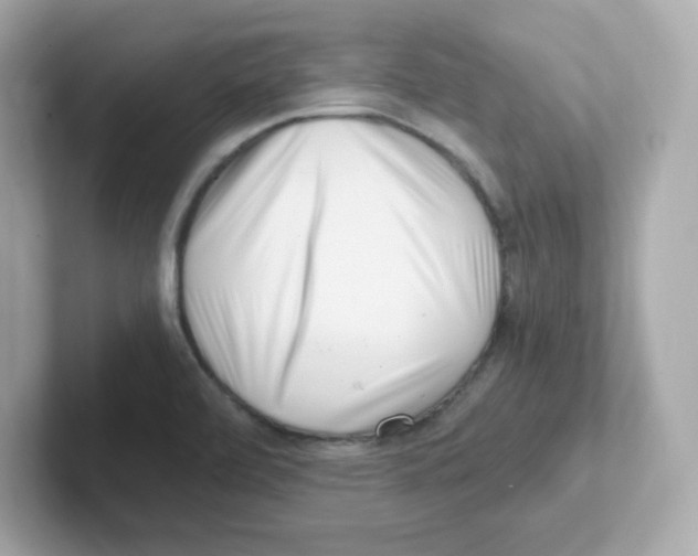 X0000101101472200807241018