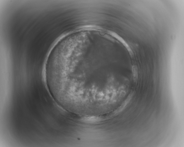 X0000101101474200807241018