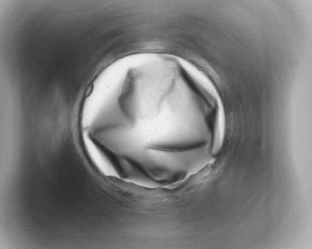 X0000101101475200807241018