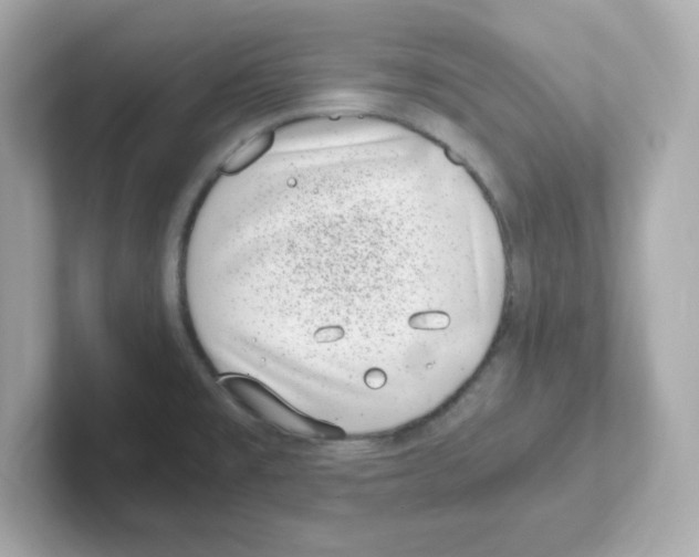 X0000101101477200807241018