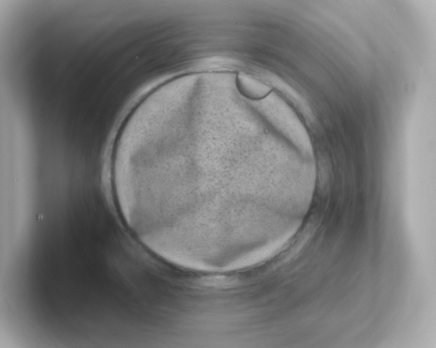 X0000101101478200807241018