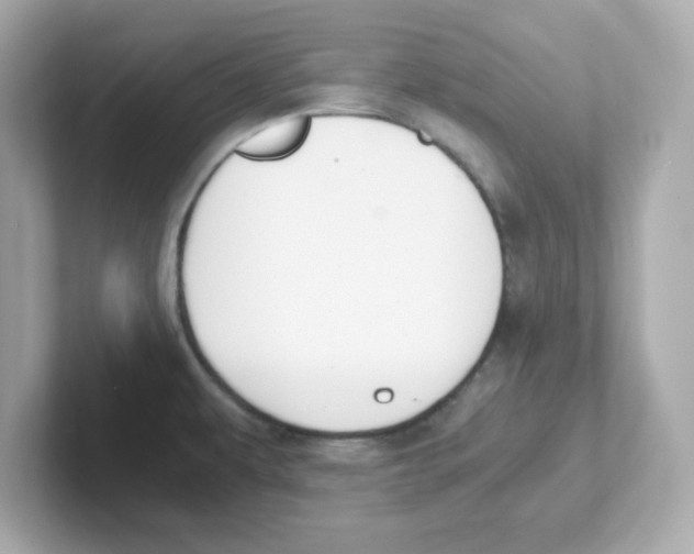 X0000101101479200807241018