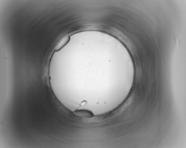 X0000101101481200807241018