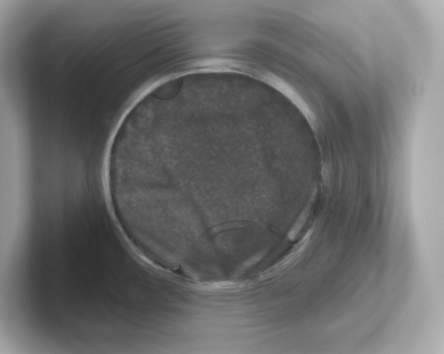 X0000101101482200807241018