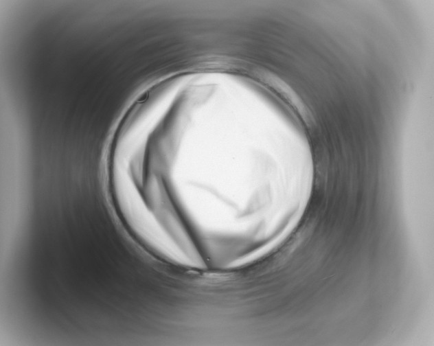 X0000101101483200807241018