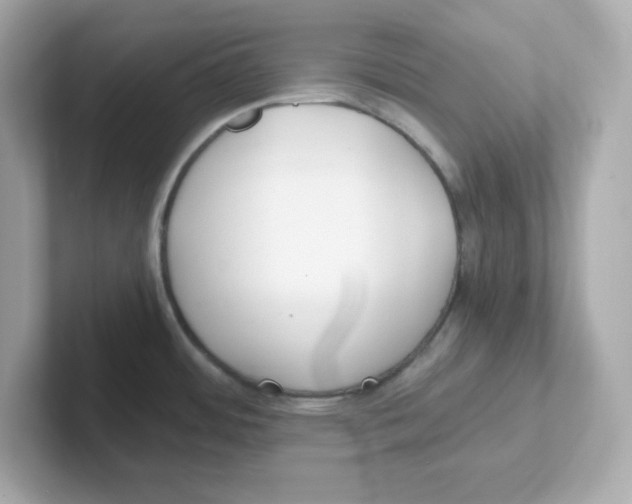 X0000101101484200807241018