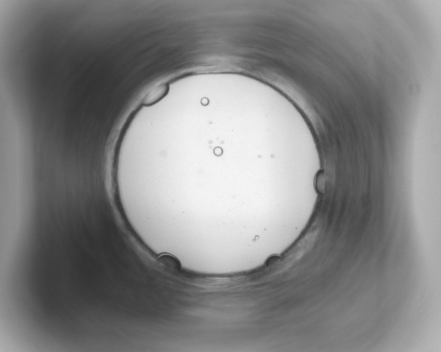 X0000101101485200807241018